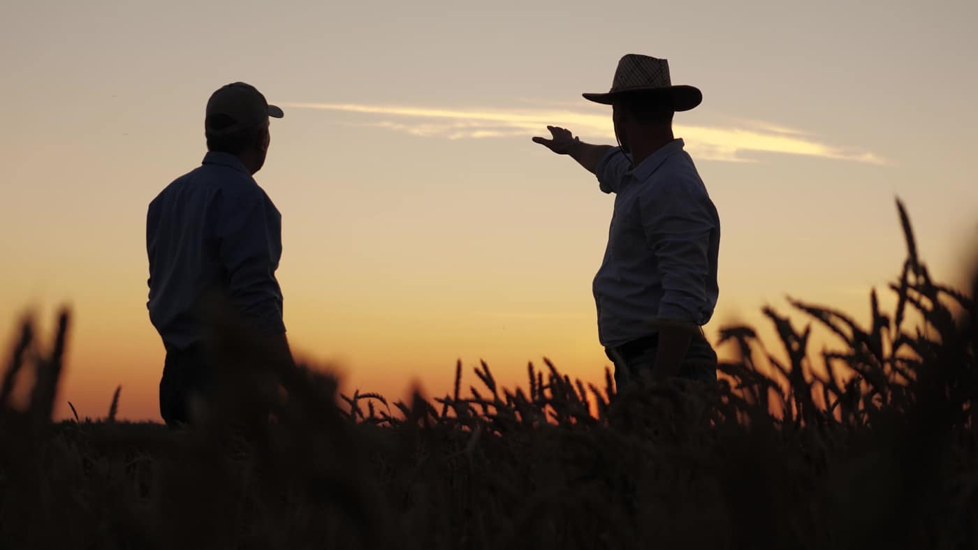 Two men walking a field at sunset, talking through a parcel